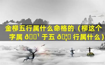 金柳五行属什么命格的（柳这个字属 🌹 于五 🦟 行属什么）